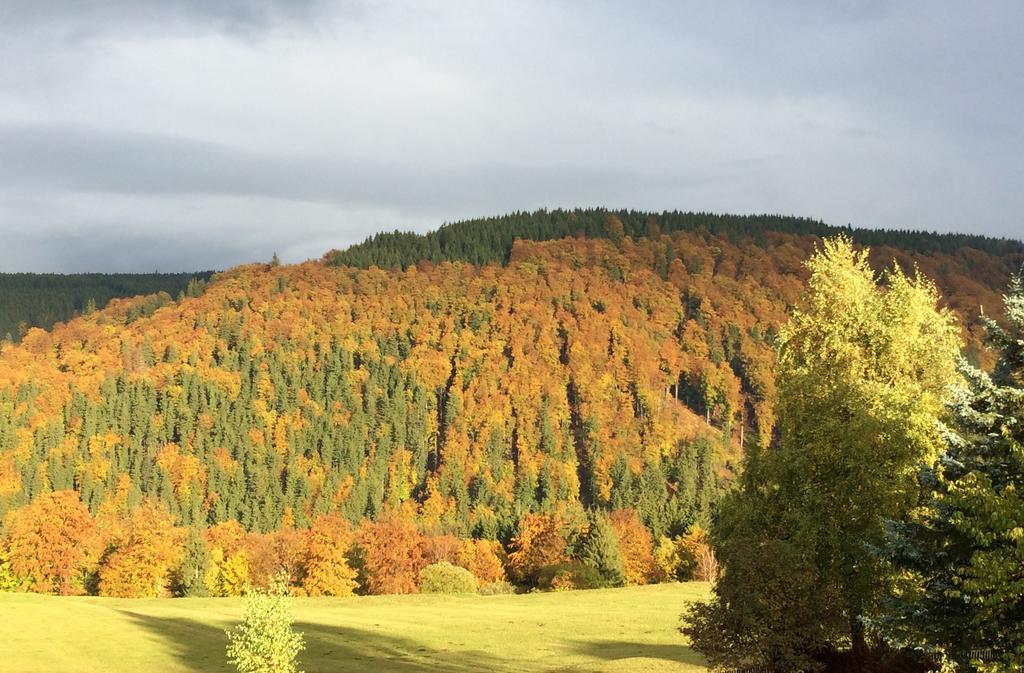 Ferienwohnungen Gehlberg Zewnętrze zdjęcie